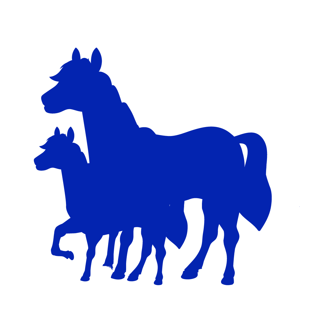 Blue icon of an adult horse and a foal standing beside each other