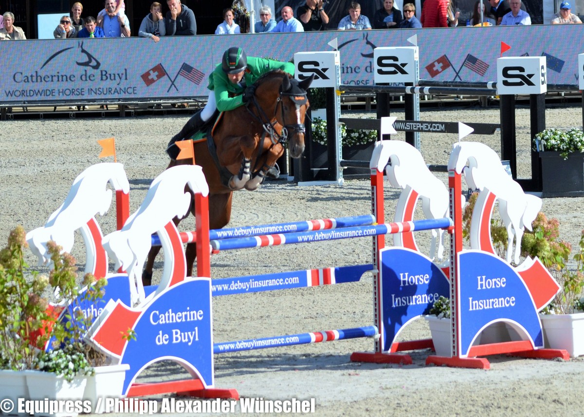 Equitron Naxcel V - WellGrove Breeders